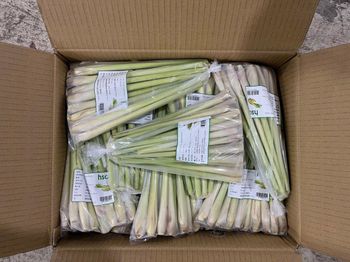 Fresh Lemongrass - CÔNG TY TNHH WANG CORPORATION - Vietnam