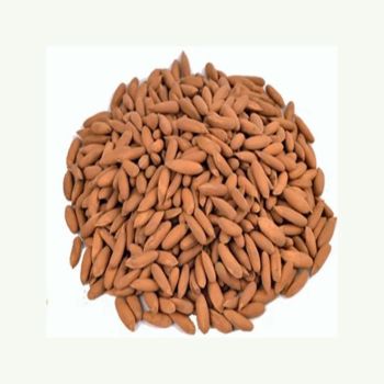 Organic cheap bulk open pine nut/pine seed/pine nuts in shell Gud Nature Pine Nuts Wild Pine Nuts Organic Pine Nuts Kernels With - JTR PRODUCE LLC - United States