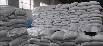 Mung bean - Saro trading PLC  - Ethiopia