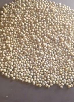 Soya Beans from truestone mining company limited Soya Beans - truestone mining company limited - Tanzania