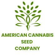 Product - American Cannabis Seed Company - United States
