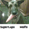 Product - WOLFE INC. OFFICIAL WEBSITE - Italy