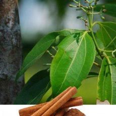 Product from ADITAMA SENTOSA INDONESIA Product – product photo, Dried Vanilla Beans products found from trusted suppliers, wholesalers, manufacturers & exporters Listing