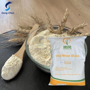 Vital wheat gluten Organic No Type gluten powder Packaging Size 25KG Texture Viscoelastic And Extensible Thermal Properties Thermal Coagulation - Wuhan Gongchen International Trading Co., Ltd. - China