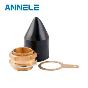 British Standard Economy Series Bw32 Dry Indoor Industrial Brass Bw Cable Gland Size M32 for Swa Armored Cables - Yueqing Ann Electric Co., Ltd. - China