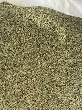 fennel seeds Organic Yes Origin Other Purity 99.5% Freshness Level Other Degree of Processing Other Foreign Matter Max 0.5% – 2% - Roselle herbs - Egypt