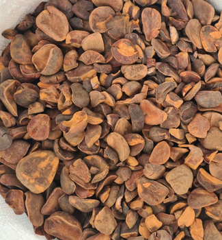 dried kola nuts: used in nutraceutical industry as well as in beverage industries / 0 phytosanitary residues - Ivoire Essentials - Ivory Coast