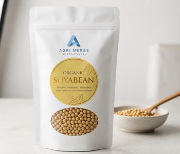 Soyabean from AGRI MERGE INTERNATIONALS PRIVATE LIMITED Soyabean - AGRI MERGE INTERNATIONALS PRIVATE LIMITED - India