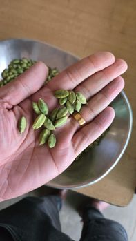 Green Cardamom – product photo, Green Cardamom Spice products found from trusted suppliers, wholesalers, manufacturers & exporters Listing