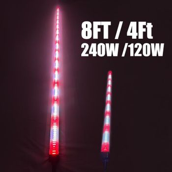 Under Canopy Led Grow Lights 120W 240W | 4Ft 8Ft Light Source LED - SLT Lighting Technology (Dongguan) Co., Ltd. - China
