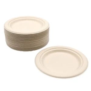 Wholesale Pirce High Quality Biodegradable Disposable Restaurant Sugarcane Plates 6 Inch Dishes Paper Plates - Xiamen Birtley Industry & Trading Co., Ltd. - China