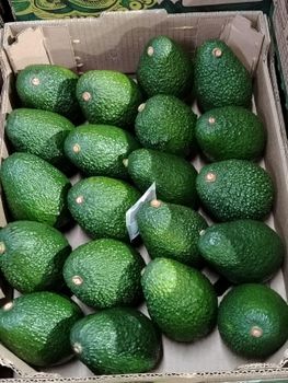 Avocados Organic No Origin Peru Variety Hass Texture Creamy Flavor Excellent Grade Category 1 Packaging 10 kg, 4 kg Place of Origin Perú 🇵🇪 - PCAEXA - Peru
