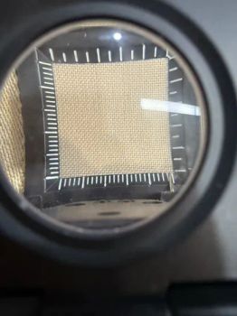 65/35 Poly Rayon Viscose 180GSM 2/1 Twill 2-Ply 32/2 Twill Tr Fabric for Tailored Blazers Pants Dye-Woven Pattern Polyester - Hebei Xingye Import & Export Co., Ltd. - China