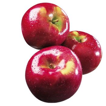 Fresh Red Delicious Apple Selected For Attractive Color Uniform Size And Reliable Wholesale Fruit Deliveries - TOSOH INTERNATIONAL - South Africa