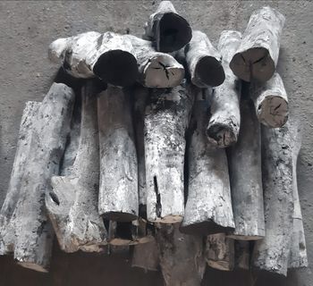 Vietnam supplier orange/ lychee tree fruit Binchotan Charcoal Natural hardwood white oak wood charcoal - GREENLINE JSC - Vietnam