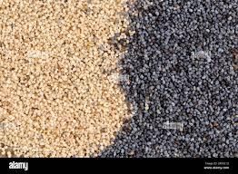 Premium White & Blue Poppy Seeds Grade A Type Seeds Flavor Nutty Texture Crisp Color White And Blue Shelf Life Long Shelf Life - TRADE NEPAL LLC - United States