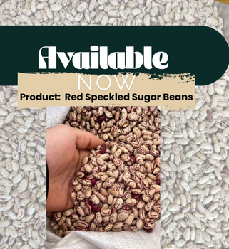 Red speckled sugar beans from Eco Xtreme Corporation Red speckled sugar beans - Eco Xtreme Corporation - South Africa