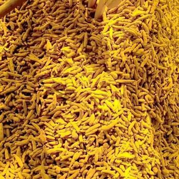 Dried Turmeric - MTAG INDUSTRIES PRIVATE LIMITED - India