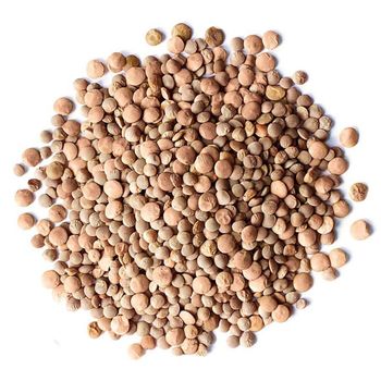 Selected Quality Brown Lentils For Global Food Buyers Premium Brown Lentils High Protein Source For Bulk Supply Chain - THE GREEN INTERNATIONAL LIMITED - Tanzania
