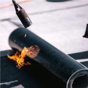 High-Quality Asphalt Membrane for Reliable and Durable Roofing Solutions - Shandong Chenhua Waterproof Co., Ltd. - China