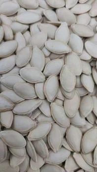 Shine Skin Pumpkin seeds - sjz Darling trading  - China