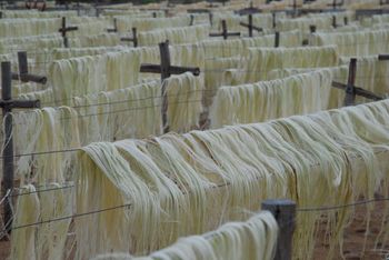 3mm Natural Fiber Sisal Baler Twine for Agriculture Concrete & Spinning Use-Eco-Friendly Chemical-Resistant - AGRONOVA - United States