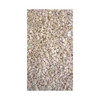 Wholesale white maize supply direct from top producers - Medcompex Gmbh - United Kingdom