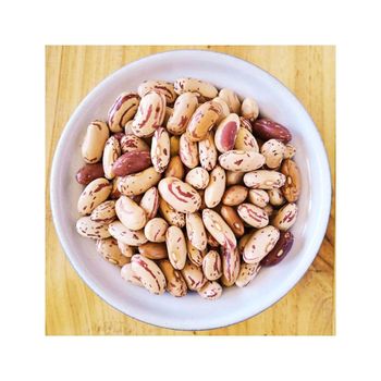 Bulk sugar beans suitable for retail packaging and commercial use - HIGHPROFILE AGRICULTURE SERVICES LIMITED - Tanzania