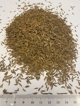 Caraway seeds Color Brown Form Whole Seeds Type Seeds whole Delivery Form Bag Purity Pure Product Max. Moisture (%) 12 Shelf Life 36 months - Herbarium - Poland