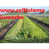 Product – product photo, Herbal Mineral Products products found from trusted suppliers, wholesalers, manufacturers & exporters Listing