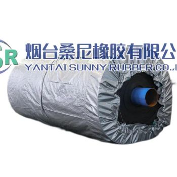 Rubber Conveyor Belt for Phosphate and Other Chemical Raw Materials Transporting - Yantai Sunny Rubber Co., Ltd. - China