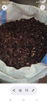 Sun-dried hibiscus flower - HAMBALI IMPERIAL AGRO LIMITED - Nigeria
