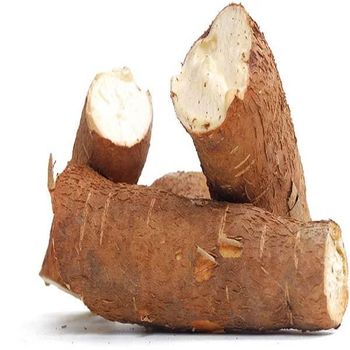 Top Quality Pure Fresh Vegetables Cassava For Sale At Cheapest Wholesale Price - AL JABLI TRADING COMPANY LIMITED - Tanzania