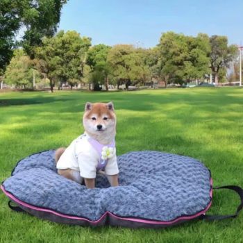 Portable Dog Bed for Outdoor Camping Travel Easy Carry Foldable Pet Mat - Xiamen Plant-Port Technology Co., Ltd. - China