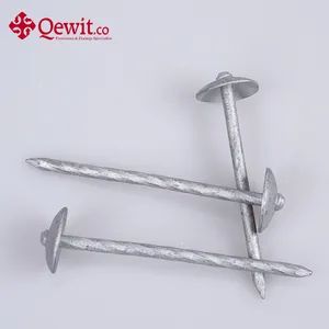 Premium Quality Umbrella Head Roofing Nails with Electro Galvanized Finish - Qewitco Fasteners Co., Ltd - China