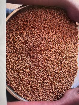Robusta AA Green Coffee Beans (Natural, Bulk) – product photo, Raw Coffee products found from trusted suppliers, wholesalers, manufacturers & exporters Listing