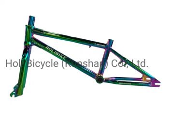 Kids Bicycle Frame Aluminum Alloy BMX Bicycle Frame Children Bike Frame - Holi Bicycle (Kunshan) Co., Ltd. - China