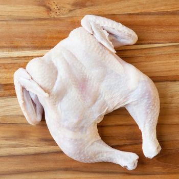 Whole Frozen Chicken With Premium Quality Frozen Chicken Cuts Ready For Processing And Export To Global Markets - THE GREEN INTERNATIONAL LIMITED - Tanzania