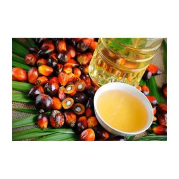 Best price refined palm oil supplier and exporter delivering bulk palm cooking oil for food industry restaurants hotels and supermarkets with competitive pricing and international export services. - SATTER FOOD AND BEVERAGE - Netherlands