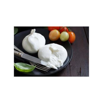 Premium Quality Fat Content 62% Dairy Products Buffalo Milk And Cream Mozzarella Fresh Cheese - VALLEBIANCA S.R.L. - Italy