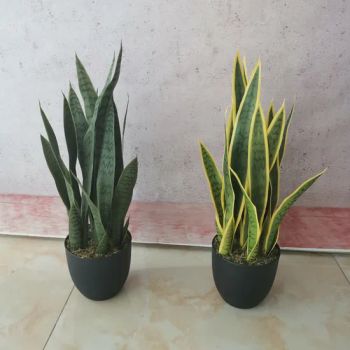 Best Quality Ornamental Plants Wholesale Artificial Sansevieria Bonsai Plant for Outdoor Decor - Guangzhou Junpeng Artificial Craft Company Limited - China