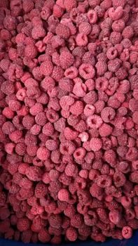 Raspberry – product photo, Raspberry products found from trusted suppliers, wholesalers, manufacturers & exporters Listing
