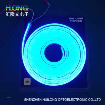 Neon Light LED 6*12mm Flex Neon Rope Lights for Christmas Lights High Quality for Stage Decoration/Advertising Signs - Shenzhen Huilong Optoelectronic Co., Ltd. - China