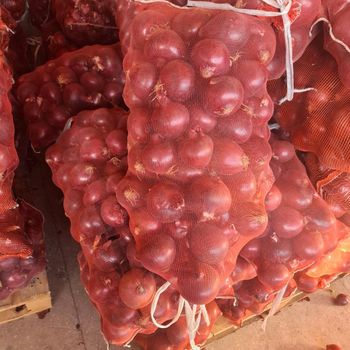 red dark onion vegetables wholesale export Packaging bag Type fresh onion Origin Uzbekistan Manufacturer Uzbekistan Color Red, White, Yellow, Red Dark - Freeze Dried Fruit LTD - Uzbekistan