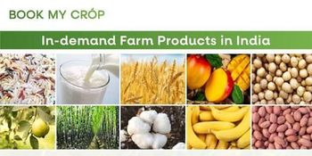 Agriculture products - A.K Enterprises - India