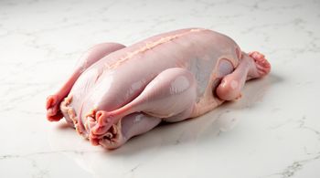 Frozen Duck Carcass (Whole Cleaned) – Halal, Export Grade, 1.0–1.3 kg, Bulk Supply, Indonesia Origin - Wooworks Indonesia - Indonesia