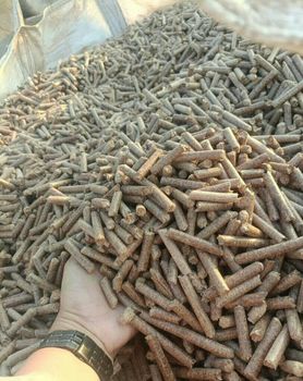 Wholesale Premium Pine Wood Pellets 6mm for A1 100% Uniform 15kg Plastic Bags-High Quality - Smart Agri GmbH - Germany
