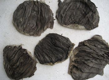 OMASUM SALTED - TUAPPYA TRADING GROUP - Colombia
