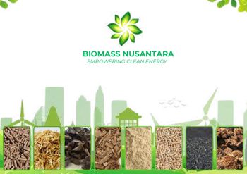 Palm Kernel Expeller - PT. SOLUSI BIOMASSA NUSANTARA - Indonesia