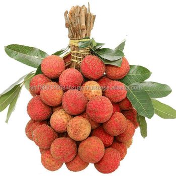 Vietnam frozen lychee/litchi Fresh Lychee fruit Taste Sweet Style FROZEN Model Number AP2023 Weight (kg) 1000000 Storage Type - AGRIPRO CO., LTD - Vietnam